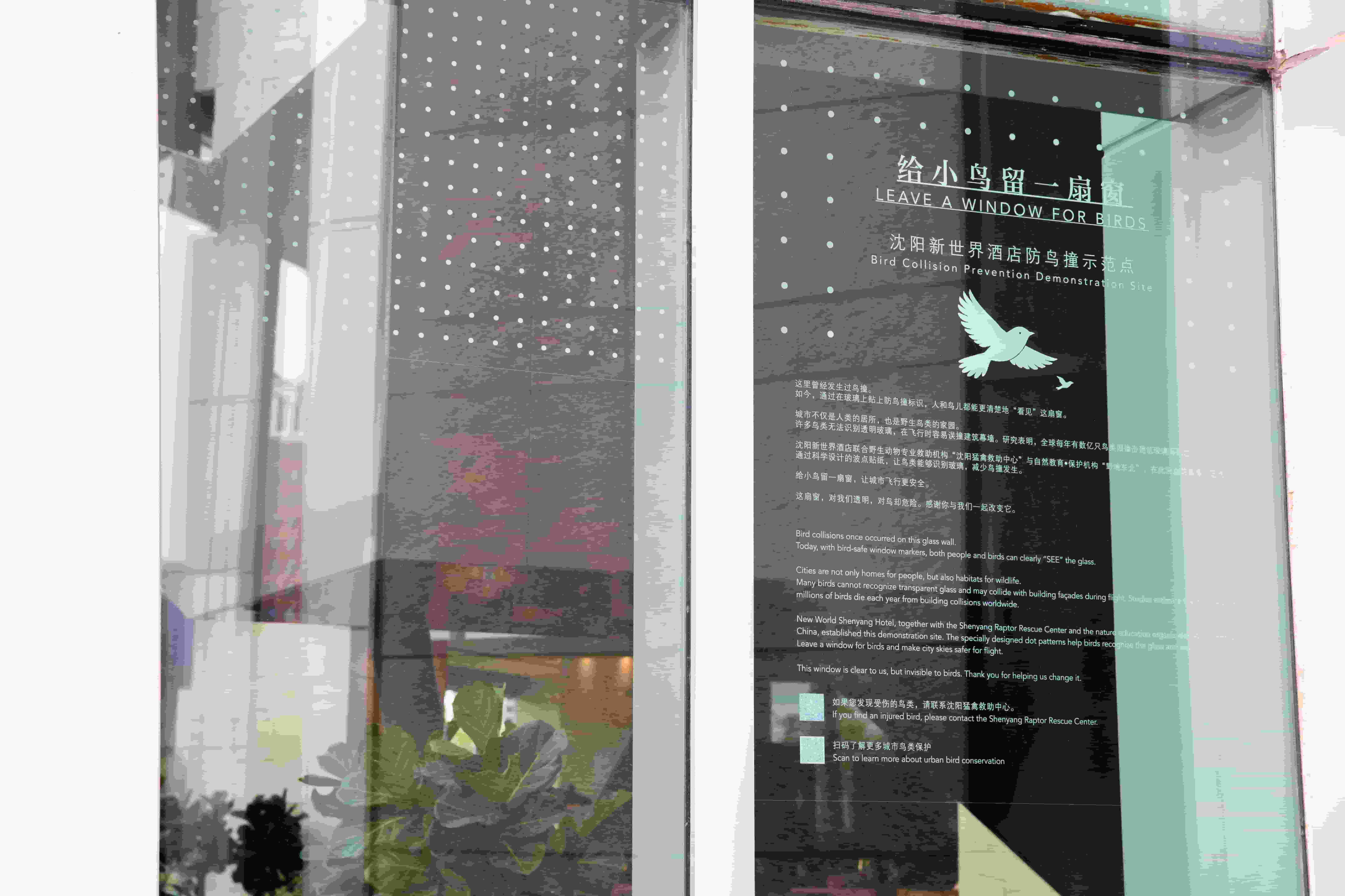 微信图片_20260506095308_50_1418.jpg